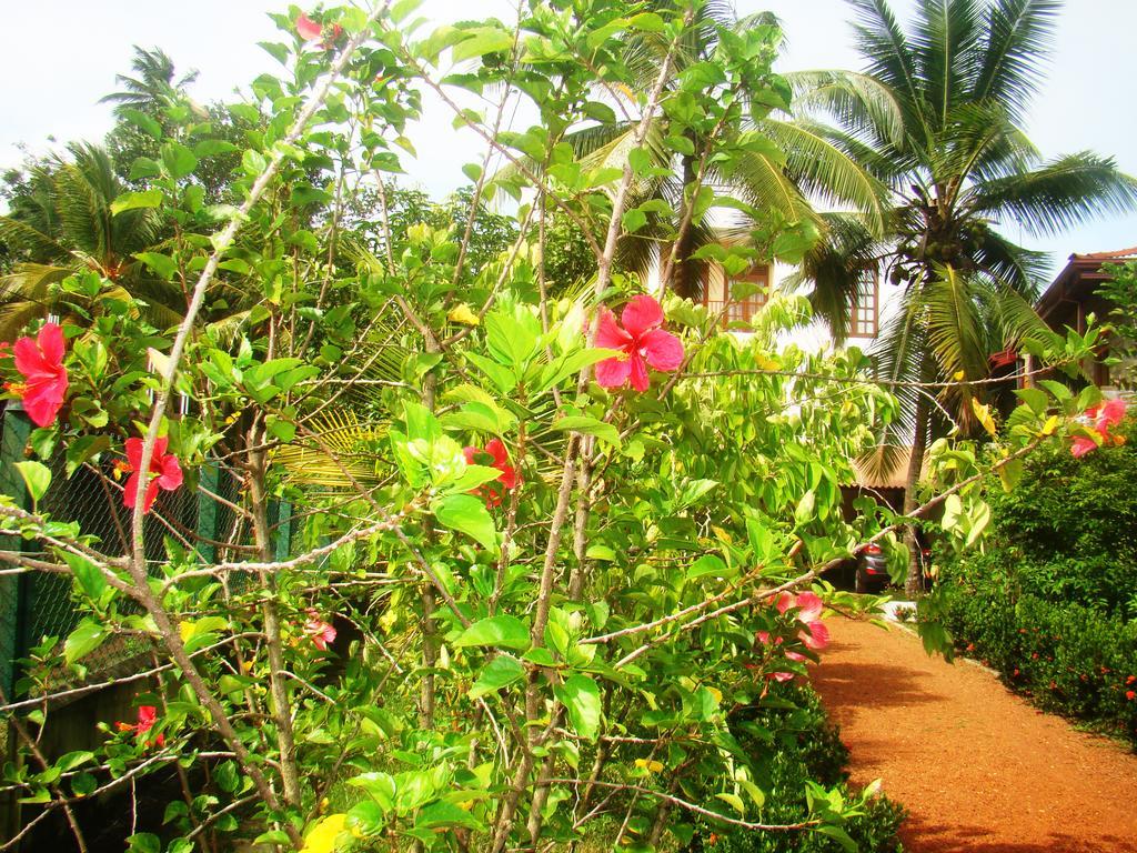 Bentota Homes エクステリア 写真