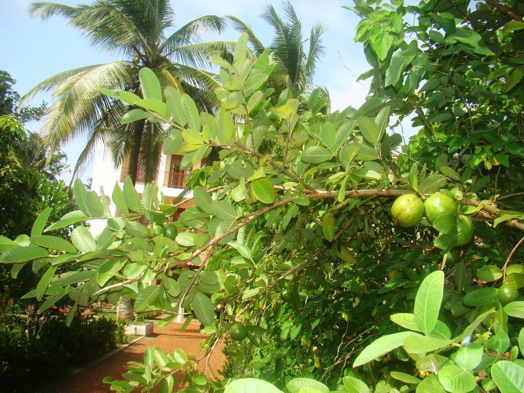 Bentota Homes エクステリア 写真